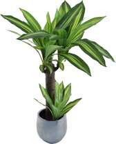 Kamyra® Drácena Kunstplant - Nep Planten Dracena Groot - Plant Voor Binnen En Buiten - Decoratie - Duurzaam - 80 × 30 cm