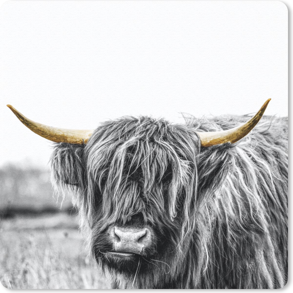 Muismat 30x30 cm - Mousepad Schotse Hooglander - Natuur - Gouden Hoorns - Muismatten