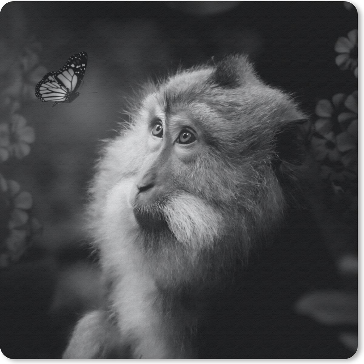 Muismat 30x30 cm - Mousepad Vlinder - Dieren - Aap - Zwart - Wit - Muismatten