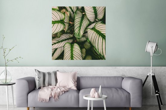 Poster Bladeren - Planten - Wit - 75x75 cm