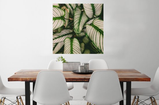 Poster Bladeren - Planten - Wit - 75x75 cm