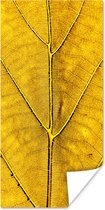 Poster Feuilles - Plantes - Jaune - 40x80 cm
