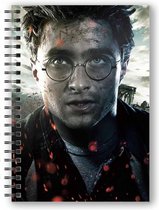 Harry Potter: Harry Potter Face Lenticular Spiral Notebook