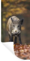 Stickers muraux - Animal sauvage - Forêt - Automne - 60x120 cm - Film adhésif