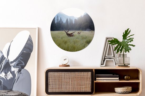 WallCircle - Muurstickers - Behangcirkel - Bos - Herten - Mist - 50x50 cm - Muurcirkel - Zelfklevend - Ronde Behangsticker