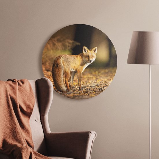 Cercle Mural Artaza Dibond - Renard dans la Forêt d'Automne - Ø 50 cm - Klein - Cercle Mural - Tableau Rond - Pour Intérieur et Extérieur