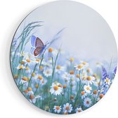 Artaza Dibond Muurcirkel Witte Kamille Bloemen Met Een Vlinder - Ø 50 cm - Klein - Wandcirkel - Rond Schilderij - Voor Binnen en Buiten