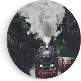 Artaza Dibond Muurcirkel Locomotief in de Bossen met Stoom Wolken  - Ø 60 cm - Wandcirkel - Rond Schilderij - Voor Binnen en Buiten