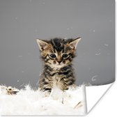 Poster Kat - Kitten - Veren - 100x100 cm XXL