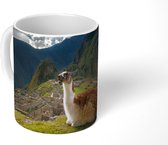 Mok - Alpaca - Machu Picchu - Rots - 350 ML - Beker