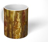 Mok - De plant met quinoa in zonlicht daglicht - 350 ML - Beker