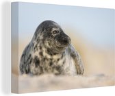 Canvas Schilderij Uitrustende zeehond op het strand - 120x80 cm - Wanddecoratie