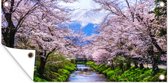 Schuttingposter Omiya brug met Sakura bomen - 200x100 cm - Tuindoek