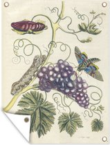 Tuin decoratie Botanische illustratie ontpopte vlinder - 30x40 cm - Tuindoek - Buitenposter