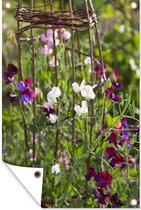 Tuinposter - Tuindoek - Tuinposters buiten - Lathyrus bloemen op wilgen takken - 80x120 cm - Tuin