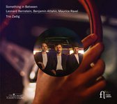 Trio Zadig - Something In Between (CD)