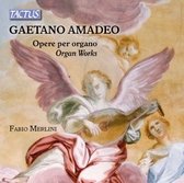 Fabio Merlin - Amadeo: Opere Per Organo (Organ Works) (CD)