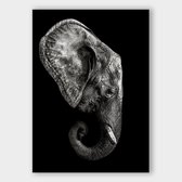 Poster Dark Elephant ² - Papier - Meerdere Afmetingen & Prijzen | Wanddecoratie - Interieur - Art - Wonen - Schilderij - Kunst