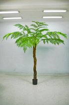 Alsophila kunstplant - varen palm - topkwaliteit plant - 250 cm hoog