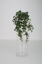 kunstplant - Boston Ivy - mini - Hedera- topkwaliteit plant - hangplant - groen - 55 cm hoog