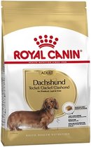 RC DACHSHUND ADULT 1,5KG