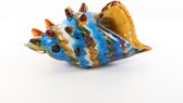 Murano Stijl Glazen Schelp 30x18x14 cm