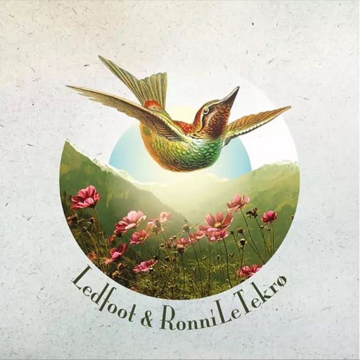 Ledfoot & Ronni Le Tekrø - A Death Divine (LP)
