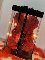 Rode Rozen Beer - Valentijn cadeau - Moederdag Cadeau voor haar - Met Luxe Giftbox - Met Led Light - Valentijnsdag - 25 cm