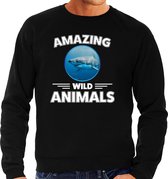 Sweater haai - zwart - heren - amazing wild animals - cadeau trui haai / haaien liefhebber L