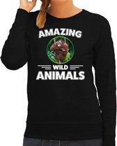 Sweater aap - zwart - dames - amazing wild animals - cadeau trui aap / orang oetan apen liefhebber S