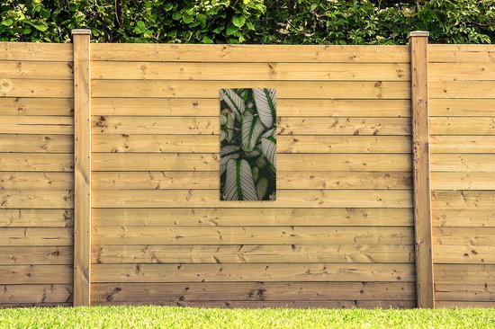 Poster de jardin Feuilles - Plante - Vert - 40x80 cm