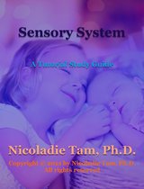Sensory System: A Tutorial Study Guide
