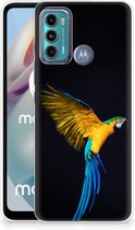GSM Hoesje Motorola Moto G60 Bumper Hoesje Papegaai