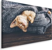Schilderij - Kitten in diepe Slaap, Premium Print, 5 maten