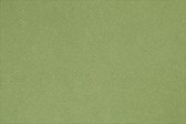 Frans karton, A4, 210x297 mm, 160 gr, apple Green, 1 vel | Knutselpapier | Knutselkarton