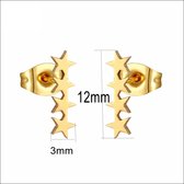 Aramat jewels ® - Goudkleurige oorbellen 4 sterren zweerknopjes chirurgisch staal 12mm x 3mm
