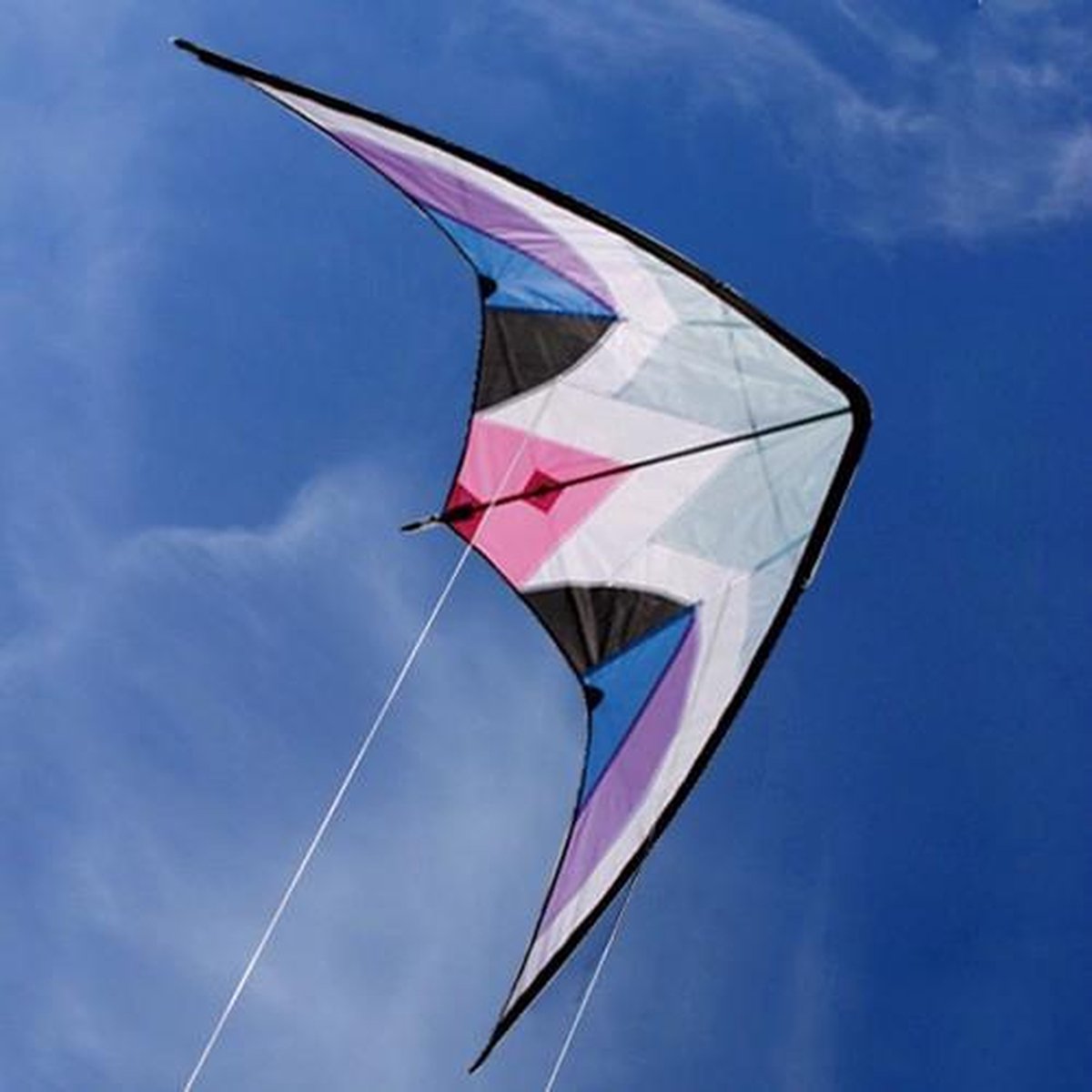 Delta Wing Stunt Vlieger | bol.com
