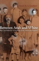 Between Arab and White – Race and Ethnicity in the Early Syrian–American Diaspora