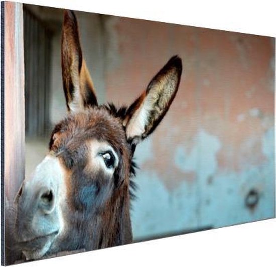 Ezel Aluminium 30x20 cm - petit - Tirage photo sur aluminium (décoration murale en métal)