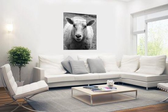 Poster Mouton noir et blanc 50x50 cm - Tirage photo sur Poster (décoration murale salon / chambre) / Poster Animaux