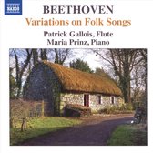 Patrick Gallois & Maria Prinz - Variations On Folk Song (CD)