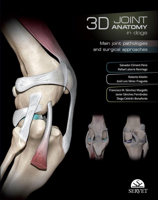 3D Joint anatomy in dogs - cover