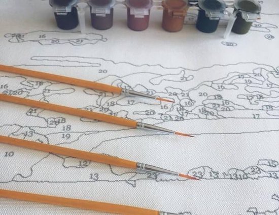 Schilderen op nummer Koala - Schilderen op nummer voor volwassenen