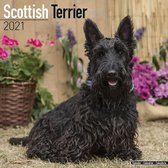 Schotse Terrier Kalender 2021