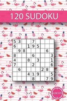 120 Sudoku: 120 leichte Sudoku I Ideal f�r zwischendurch I geeignet f�r Kinder I toller Zeitvertreib f�r lange Reisen I Gr��e ca.