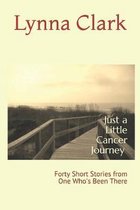 Just a Little Cancer Journey: Forty Short Stories from One Who's Been There