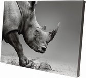 Neushoorn | 150 x 100 CM | Wanddecoratie | Dieren op canvas | Schilderij | Canvasdoek | Schilderij op canvas