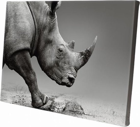 Rhinocéros | 150 x 100 cm | Décoration murale | Animaux sur toile | Peinture | Tissu en toile | Peinture sur toile