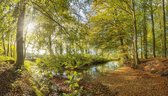 Fotobehang kasteelgracht Renswoude 250 x 260 cm