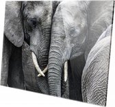 Olifant | 60 x 40 CM| Wanddecoratie | Dieren op plexiglas | Schilderij | Plexiglas | Schilderij op plexiglas